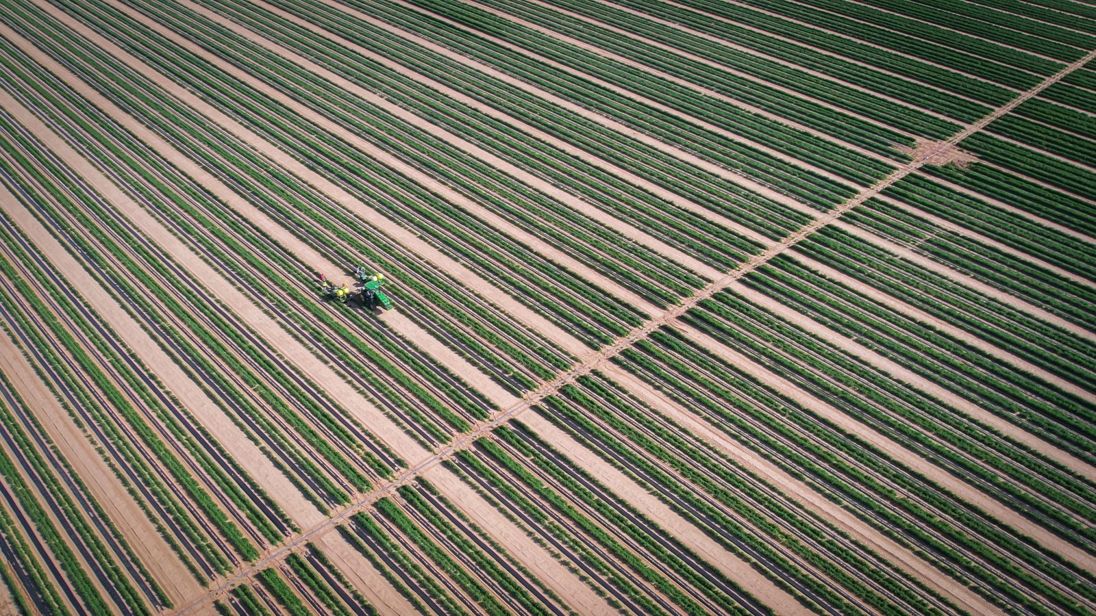 Solar Shrink field, aerial